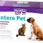 Integratore per cani e gatti che supporta la funzionalità intestinale