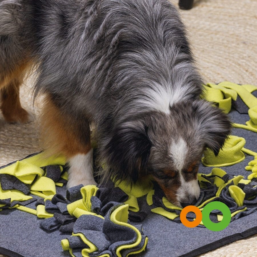 TAPPETO OLFATTIVO PER CANI - immagine 2