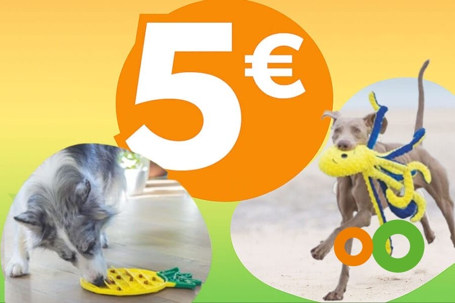 Promozione Zooplanet Milano per il mese di luglio 2025